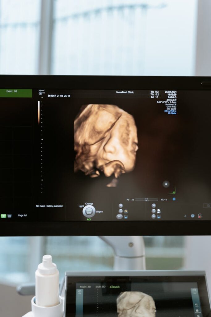 Free stock photo of 3d scanning, 3d ultrasound, analysis